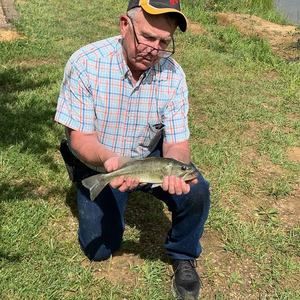 Meet your Posher, Stephen